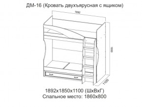 ДМ-16 Кровать двухъярусная с ящиком в Нытве - nytva.магазин96.com | фото