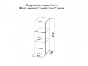 Шкаф навесной (глухой) Левый в Нытве - nytva.магазин96.com | фото