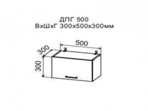 Шкаф верхний ДПГ500 горизонтальный в Нытве - nytva.магазин96.com | фото