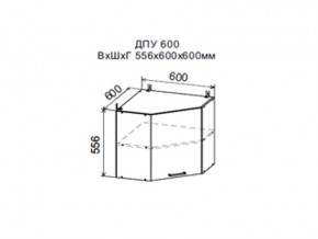 Шкаф верхний ДПУ600 угловой в Нытве - nytva.магазин96.com | фото